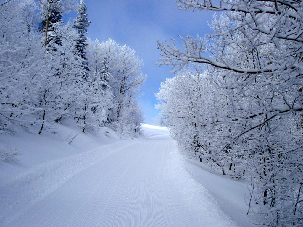 Daniels Summit Lodge Wallsburg Екстер'єр фото