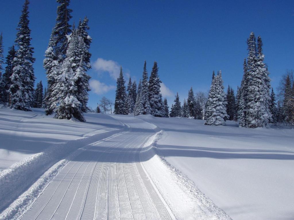 Daniels Summit Lodge Wallsburg Екстер'єр фото
