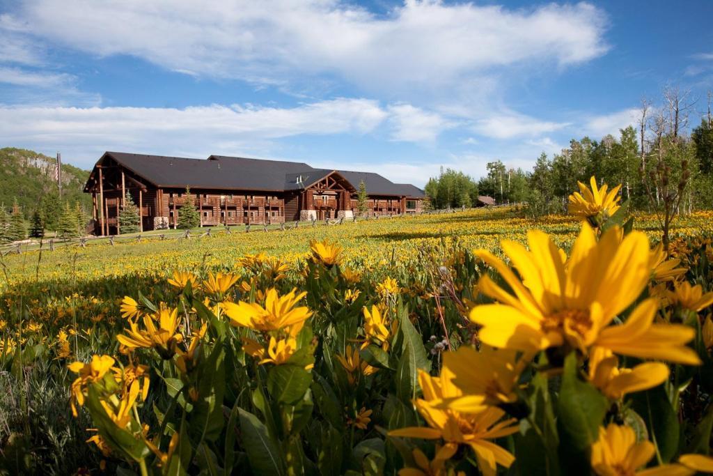 Daniels Summit Lodge Wallsburg Екстер'єр фото